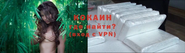 mdpv Богородицк